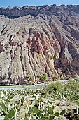 Colca Canyon